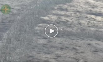 Ukrainian defenders hit an enemy trench with a dugout in the Donetsk region with an FPV strike drone