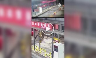 Слон распугал китайских пограничников