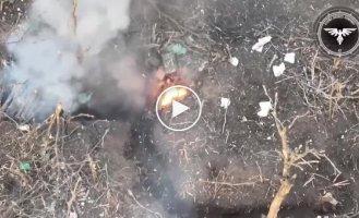 Українські FPV-дрони атакують російських військових на Авдіївському напрямку