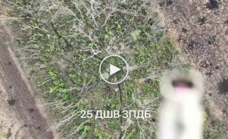 The work of the 25th Ukrainian airborne brigade in the Luhansk region