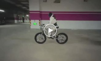 A robot that can ride a bicycle