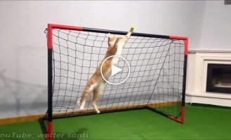 Ideal goalkeeper