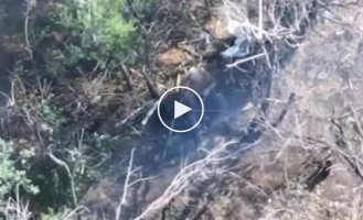 Наша аеророзвідка зафіксувала, як на Оріхівському напрямку окупант, побачивши дрон, застрелився