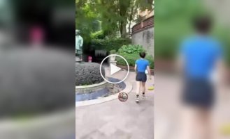 Briefly about why it is difficult for the Chinese to be overweight