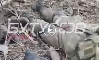 A selection of videos with prisoners and those killed in Ukraine. Issue 76