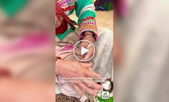 The Craft of "Fire Grass": How Gerbera Fuzz Is Transformed into Durable Fabric in China