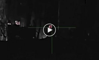 Footage of night work of Ukrainian snipers in the Donetsk region
