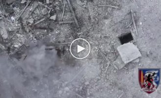 Ukrainian drones from the Charny Kruk group of the 81st airmobile brigade strike Russian infantry