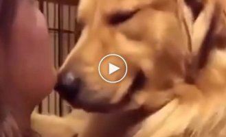 Dog's touching reaction to being adopted from a shelter