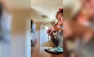 Рыжие пушистые воришки