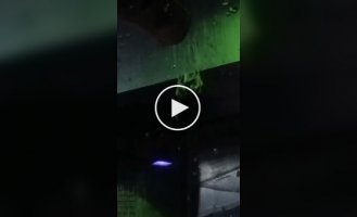 Две летучие мыши решили выяснить отношения