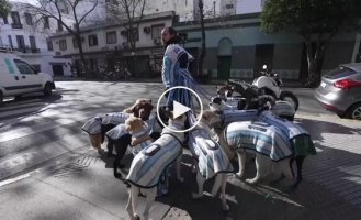 Четвероногие поклонники Месси
