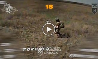 Сто ліквідованих окупантів останні миті життя росіян на українській землі