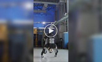 Робота Boston Dynamics научили делать стойку на руках