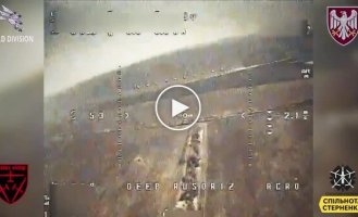 Two kamikaze drones destroyed the expensive Russian Strela-10 air defense system, which was hunting our drones