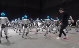 Современные роботы близки к уровню развития десятилетнего ребенка