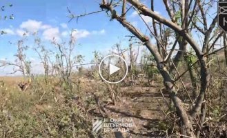 The assault on Russian positions near Bakhmut from the first person of a Ukrainian military man