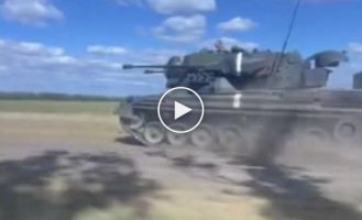 Німецька українська Gepard поспішає