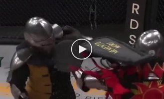 Лицарські бої в октагоні