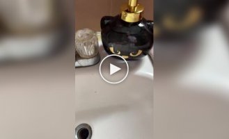 Милый подарок для юных любителей кошек