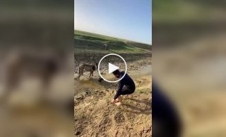 Мужчина спас жеребенка, застрявшего в грязи