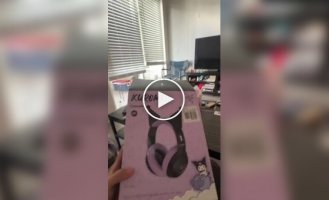 Кіт не злюбив навушники з вушками