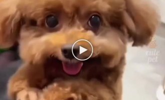 The cutest video you'll watch today