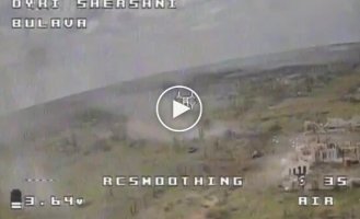 Reflecting an enemy assault by Wild Hornets drones in the Berdyansk direction