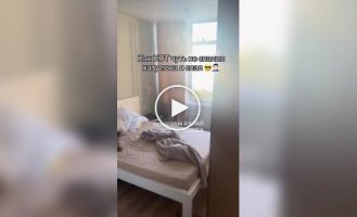 В Одессе кот едва не сжег квартиру, пока хозяин спал