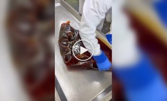 What the candy production process looks like