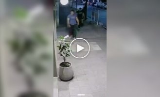 Пьяный хулиган повредил растения, но на следующий день вернулся все исправить