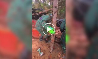 Liquidation of a hornet's nest in China