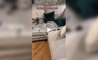 Батько на кілька хвилин залишив малюка без нагляду: що сталося з вітальнею