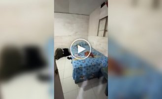 Самое бюджетное жилье в Индонезии: без окон и с туалетом на улице