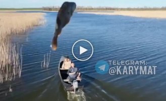 Kherson fisherman hit a Russian drone with a fish