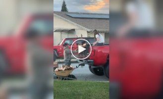 Четвероногий помощник