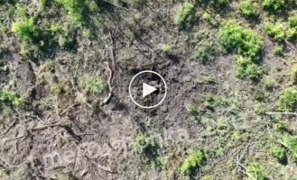 The severed end of an occupier flies in the air after being dropped from a drone.