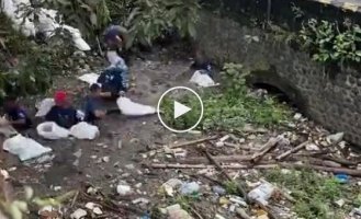 In Indonesia, hundreds of volunteers clean rivers of garbage