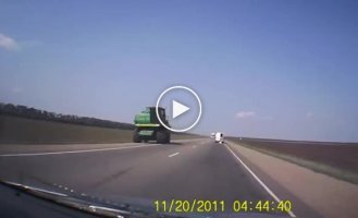 Побег из курятника