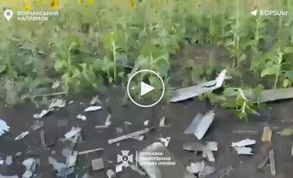 Прикордонники знищили ворожий Ланцет на Вовчанському напрямі