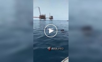 Чоловік покатався на спині китової акули спині китової акули, прокотився, дивно, екстрим