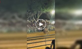 Ковбой получил травму после эффектного празднования на родео