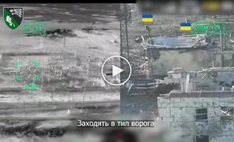 Бійці ССО взяли в полон дев'ятьох окупантів на Покровському напрямку.