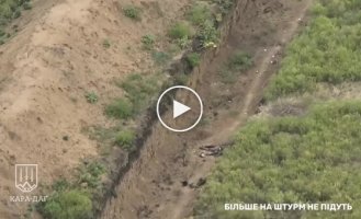 Drone operators of the 15th brigade of the NGU Kara-Dag destroy occupiers in the Pokrovsk direction