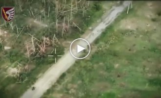 Another attack by Russian motorcyclists on the positions of the 79th Air Assault Brigade