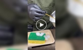 Cakes in the shape of dishwashing sponges