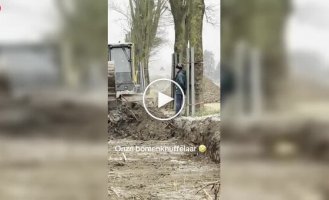 An activist stood in front of machinery to save a tree from being cut down