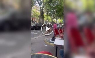 Grandma took her pet for a walk