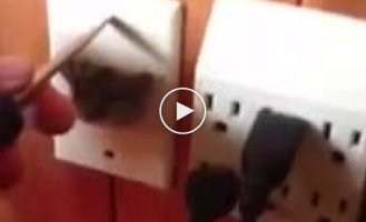 Кто-то слишком много ел