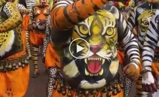 Bright participants of the "tiger" parade in India